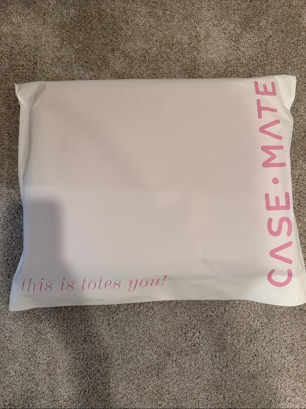 case-mate ballet pink tote organizer